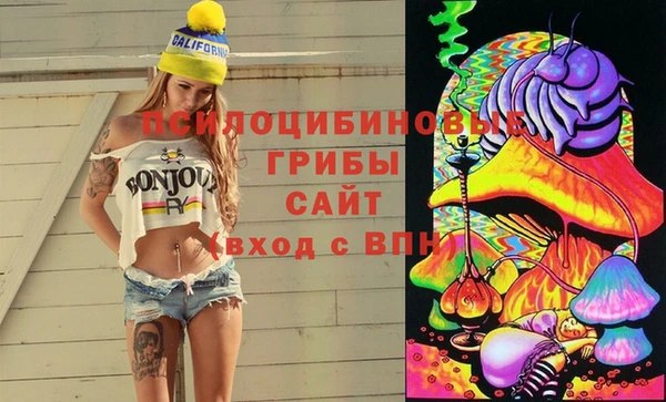 apvp Тутаев