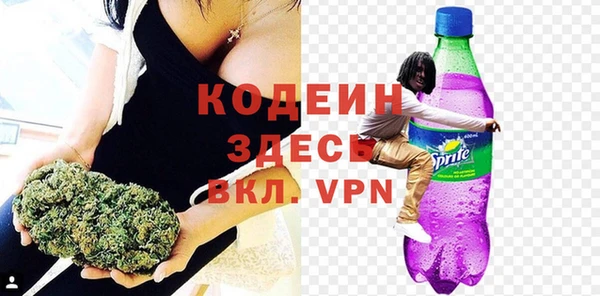 МДПВ Туринск