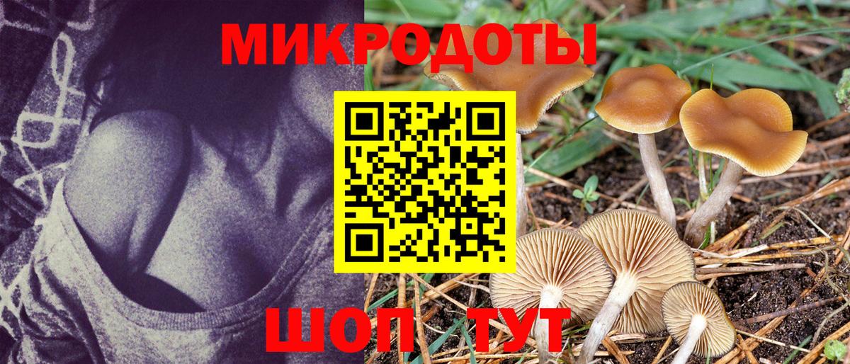 Псилоцибиновые грибы прущие грибы Снежинск