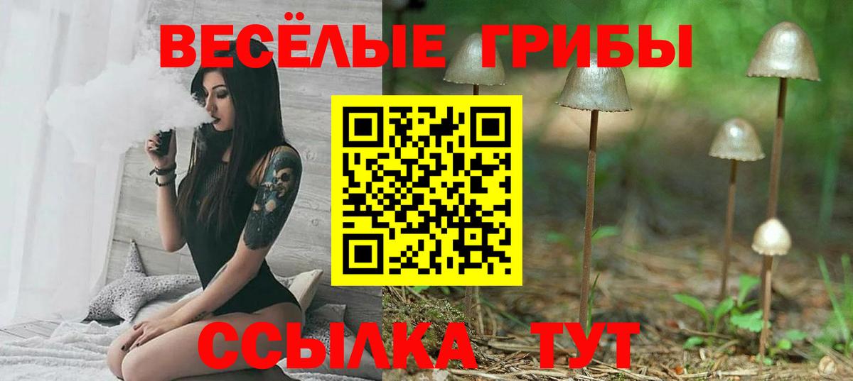 Галлюциногенные грибы прущие грибы  Вход с VPN  Снежинск 