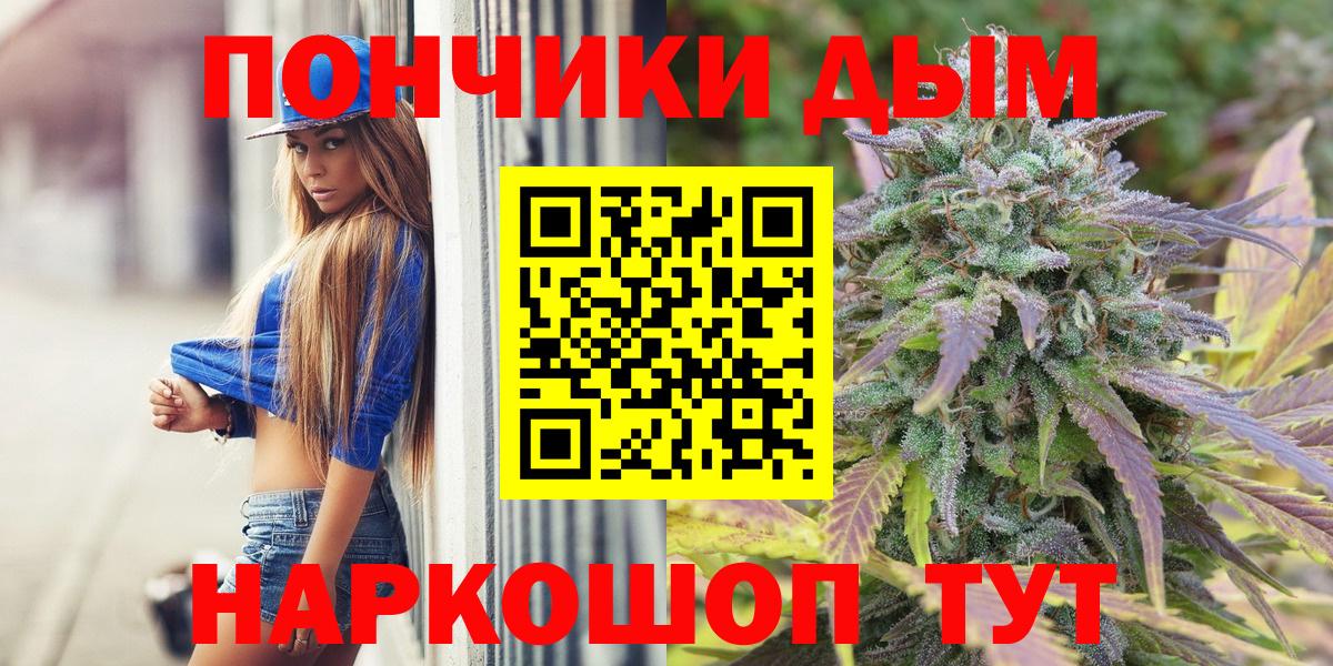 Снежинск  Бошки марихуана конопля  Канабис тримм  Вход с VPN  Конопля сатива 
